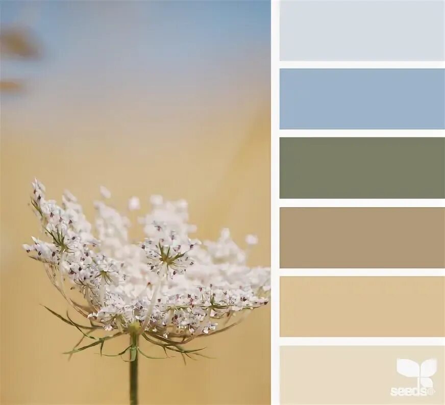 IN COLOR BALANCE Подбор цвета Страница 6 Paint color schemes, Color schemes, Gre