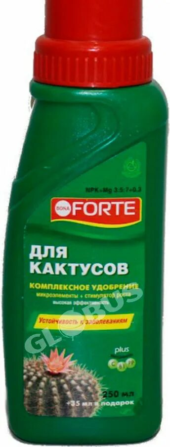 Bona forte красота. Удобрение бона форте для суккулентов. ЖКУ красота для кактусов и суккулентов 285л Bona Forte. Bona Forte для кактусов и суккулентов. Удобрение бона форте для кактусов и суккулентов.