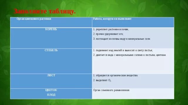 Строение покрытосеменных растений 7 класс лабораторная работа. Функции органов цветкового растения таблица 5. функции органов цветкового растения. органы растений 5 класс биология таблица. функции органов цветкового растения таблица 5 класс.