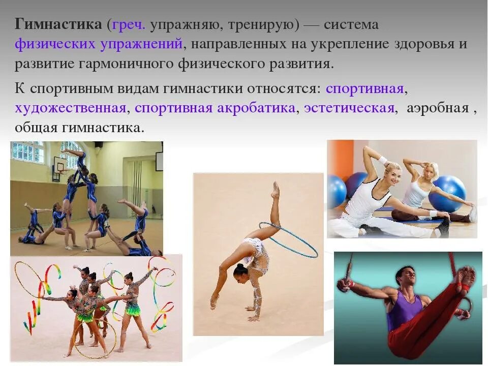Гимнастические упражнения. Виды гимнастики. Виды гимнастики по физкультуре. Виды физ упражнений в гимнастике.