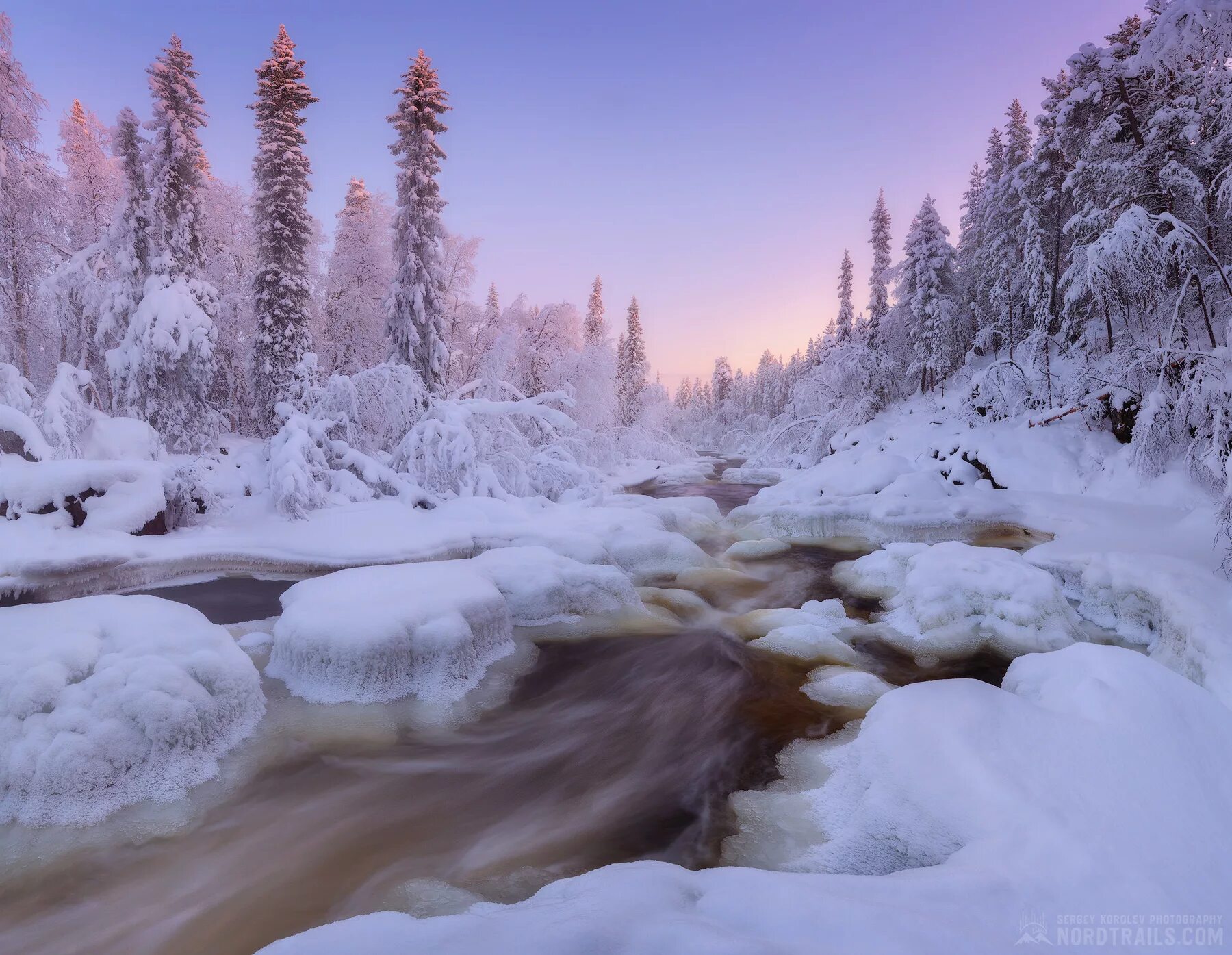 Snow n. Snow n. Snow n. Зима рябина. Неомарм 610.