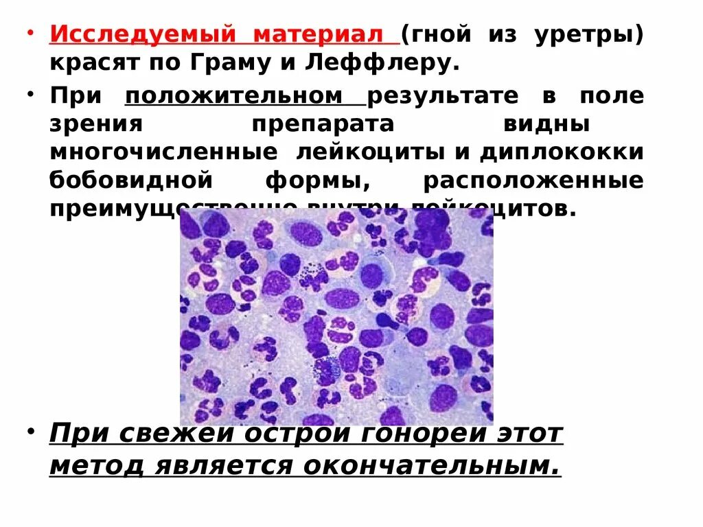 Из уретры у мужчин выделения без запаха. Исследуемый материал. Бактериоскопия по Граму гонорея. Орнитоз микробиология.