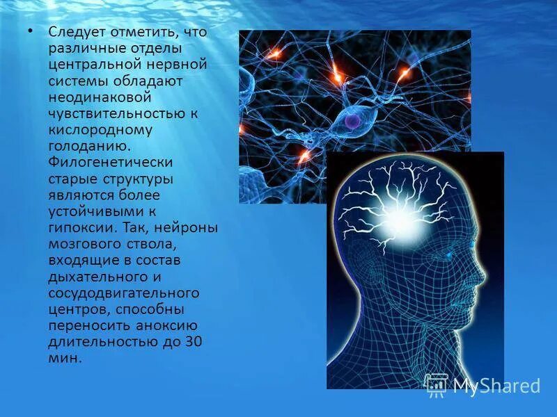 Нейроны головного мозга. Нервная система Нейрон. Мозг человека Нейроны. ЦНС человека Нейроны.