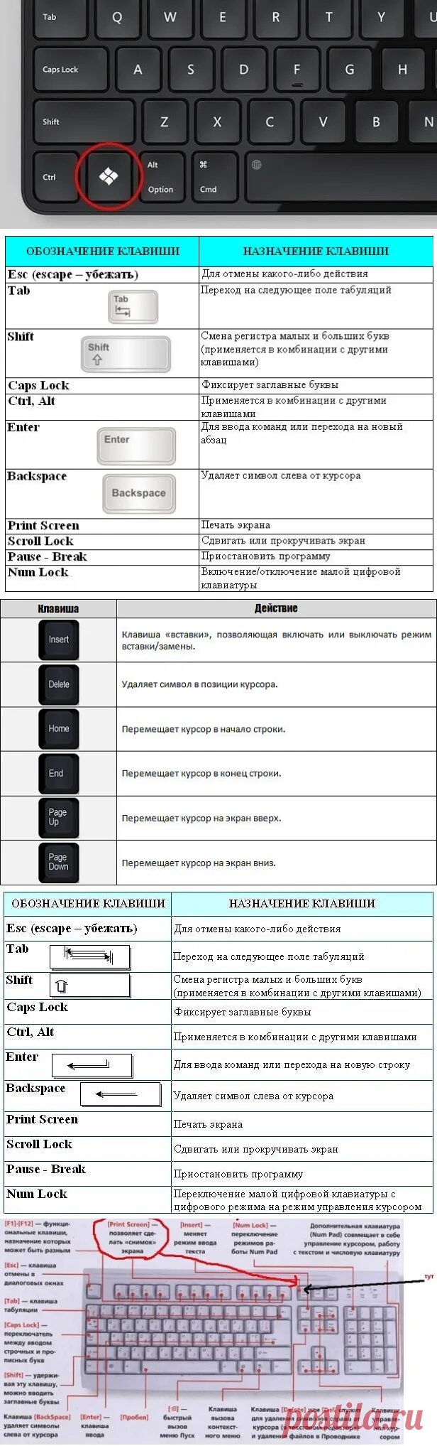 Назначение клавиш Shift. Назначение клавиши Shift. Клавиши на клавиатуре и их значение. Паусе клавиши Назначение. Отключение комбинаций клавиш