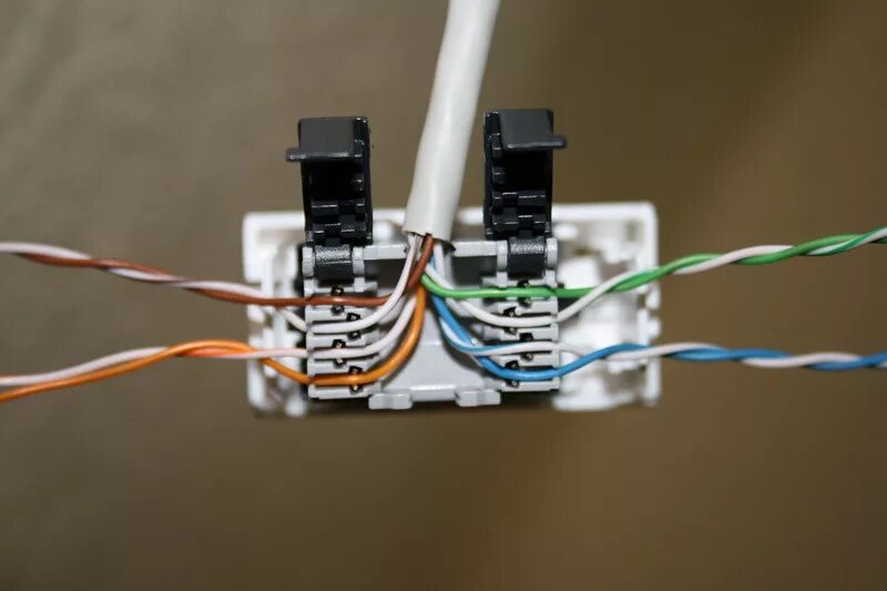 Подключение сетевой розетки. Обжим розетки RJ-45 Legrand. Сетевые розетки rj45 Schneider. Розетка rj45 ip66. Монтаж розетки RJ-45 Шнайдер.