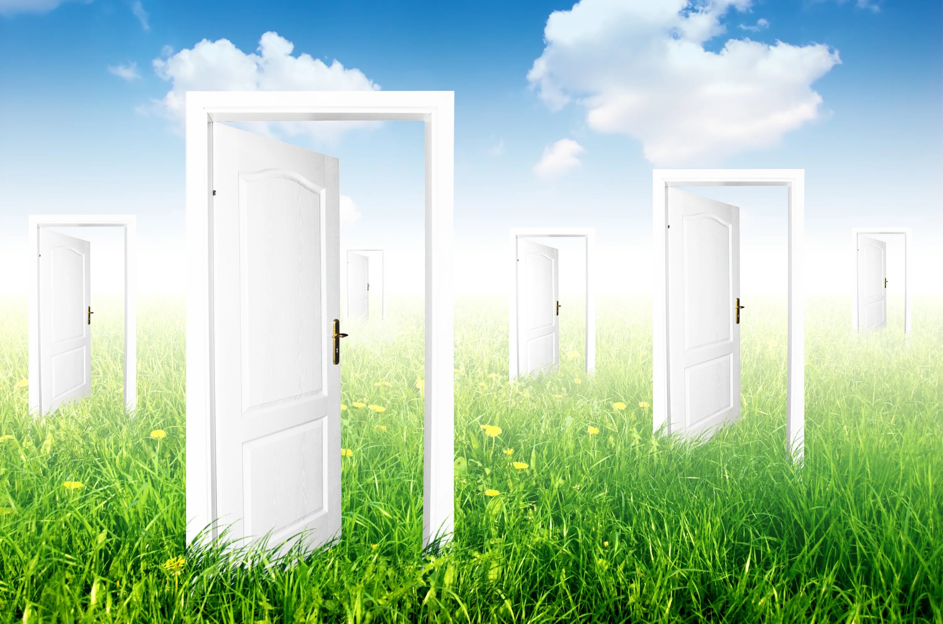 Двери возможностей. Открытая дверь. Дверь в новую жизнь. Дверь в жизнь. Дверь в новый мир.