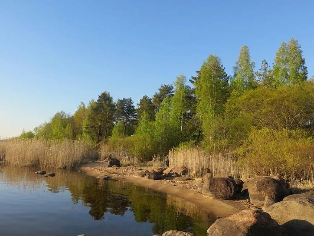 Кунесть Гдовский район. Деревня озера Гдовский район Псковская область. Псков Кунесть. Чудское озеро деревня Кунесть. Участок деревня озера