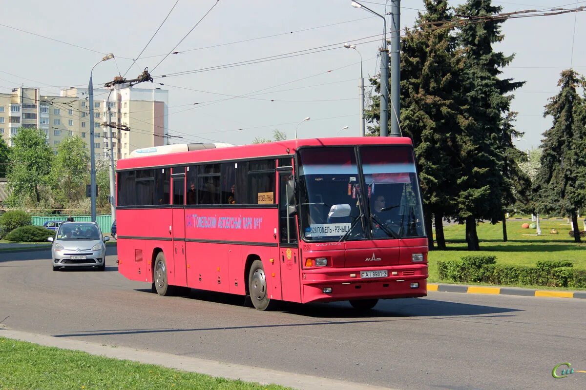 Автобус гомель красное