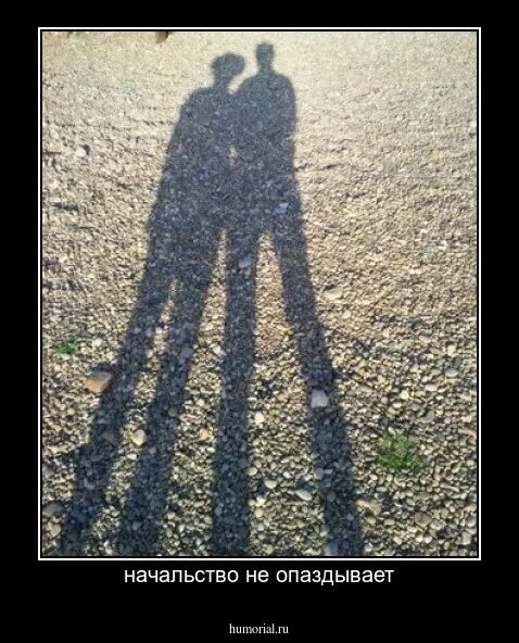 Начальство задерживается. Начальник всегда прав картинка. Каждый третий опаздывает. Начальник задерживается. Начальство не опаздывает а задерживается.