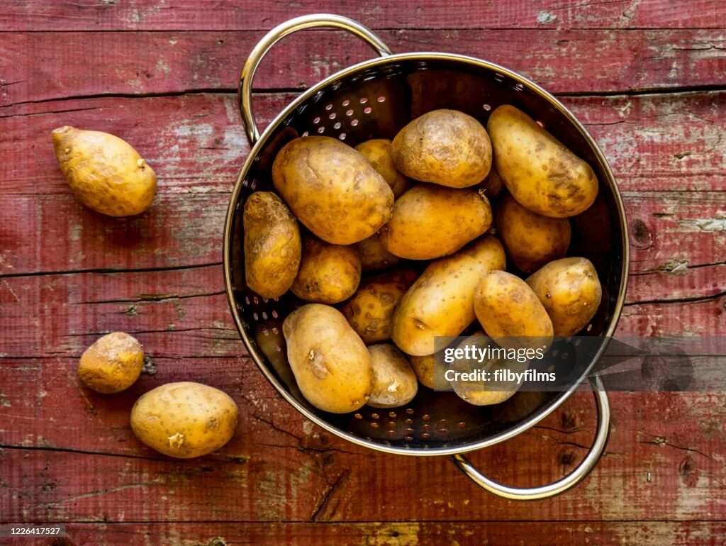 Картофель молодой. Potato papa. Картофель 'russet burbank'. Картофельный папа оборудование. Картофель гиф.