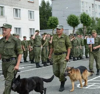 Кинолог тюмень