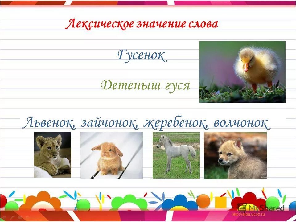 Предложение со словом заяц. Заяц словарное слово. Заяц лексическое значение. Заяц лексическое значение. Слово заяц.