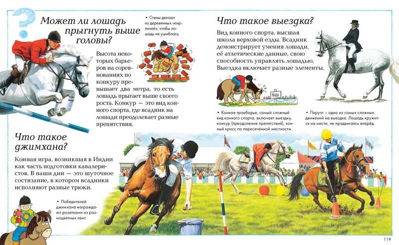 Конная игра 4 буквы. Java игра про конюшню. Аламан большой. Покажи игру кск. Игра скачки на лошадях.