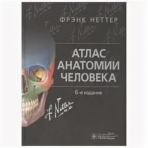 Атлас неттер 7 издание