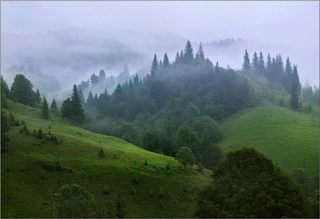 Карпаты горы страна. Гора златибор карпаты.
