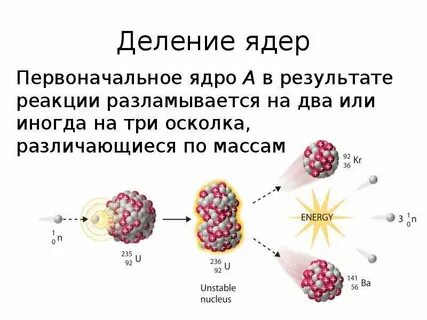 Общее название атомных ядер