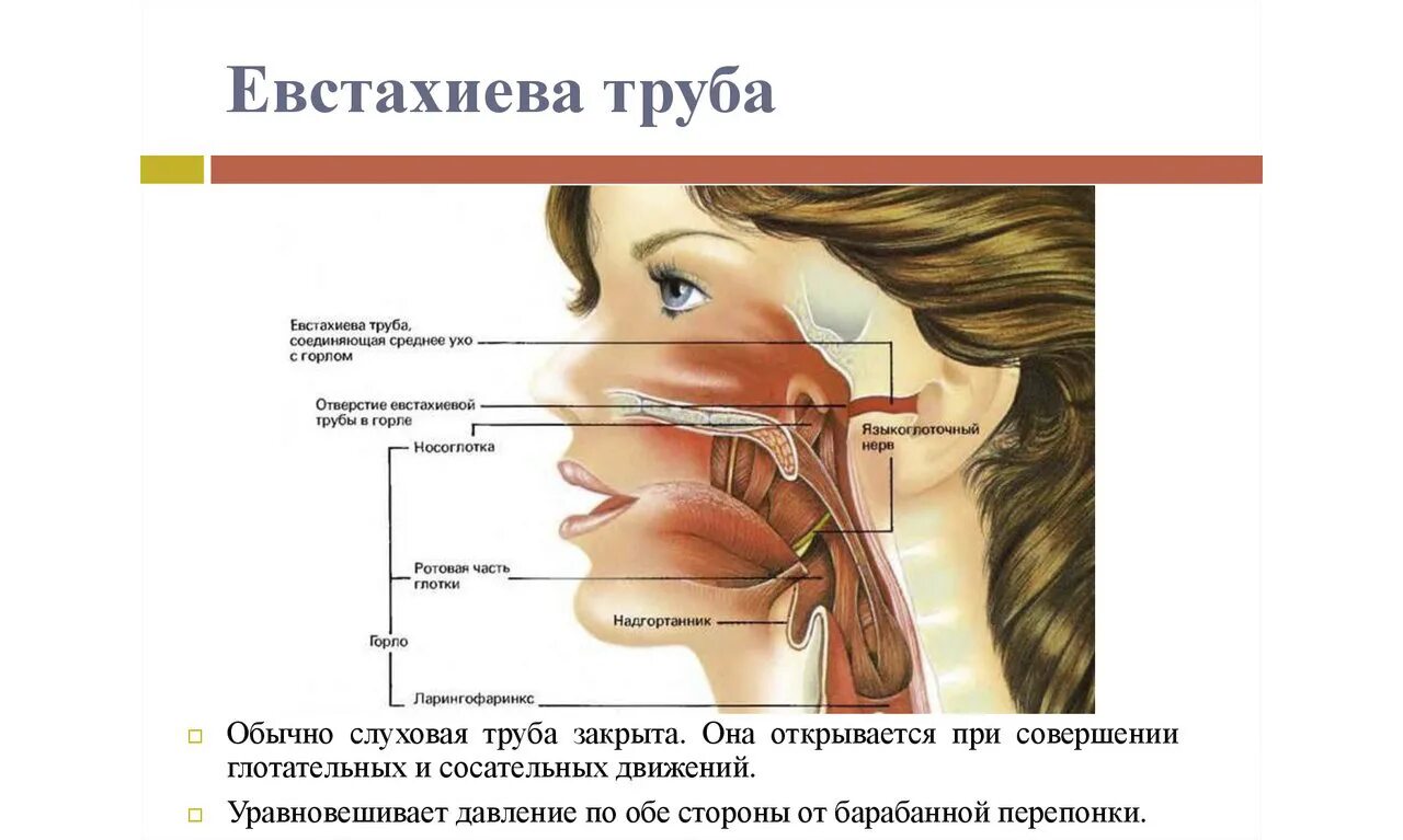 Тубоотит сколько длится