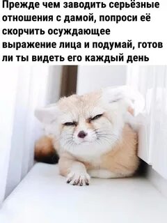 Ненавижу понедельник