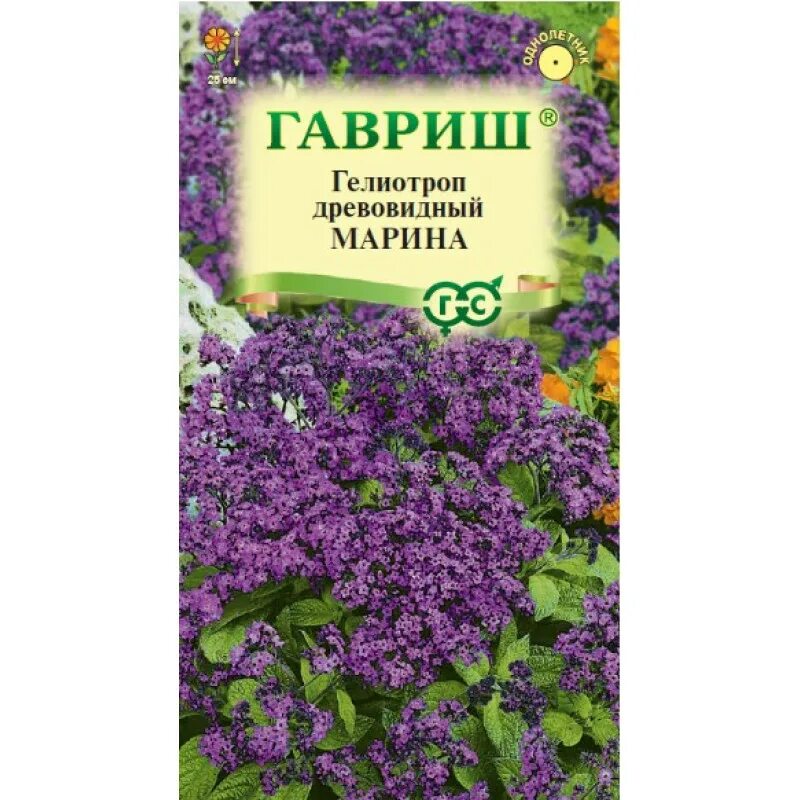 Гелиотроп цветок семена фото. Гелиотроп одиссей. Гелиотроп цветок семена фото. Гелиотроп цветок семена фото. Гелиотроп перуанский семена.