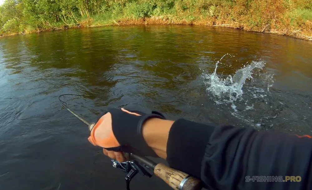 Рыбалка видео ловля. Летняя рыбалка. Фото рыбалки летом. Рыбалка в летний период. Фотострана летняя рыбалка.