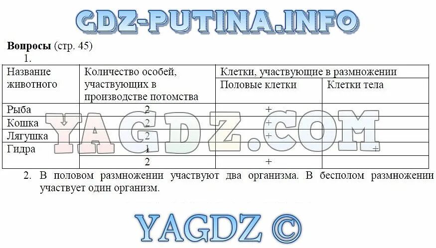 Половые клетки картофеля. Бесполое размножение одноклеточных. Какой тип клеток принимает участие в размножении. Какой тип клеток принимает участие в размножении. Виды бесполого размножения.