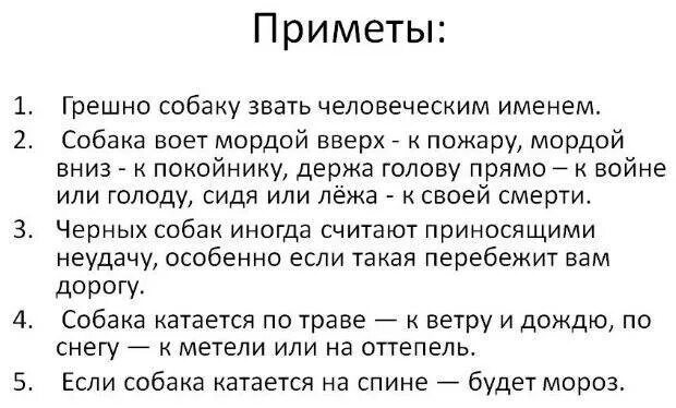 Почему собака воет по ночам во дворе. К чему воет собака. к чему воют собаки ночью. что означает если собака воет. приметы по собакам.
