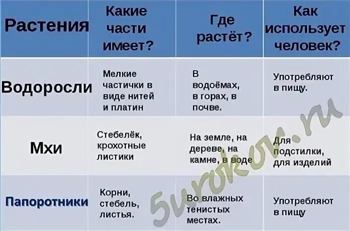 Различия мхов и водорослей таблица. Таблица сходства и различия мхов и водорослей. Мхи и водоросли сходства и различия. Строение мха и водоросли сходство и различия.