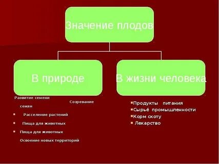 Какое значение плодов