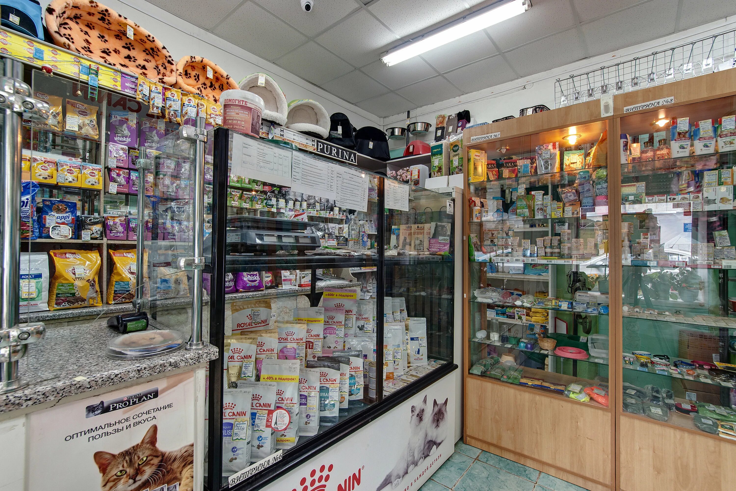 сириус баррикад. сириус калуга воронина. сириус ветеринарная клиника астрахань. сириус стоматология нижний. сириус калуга воронина.