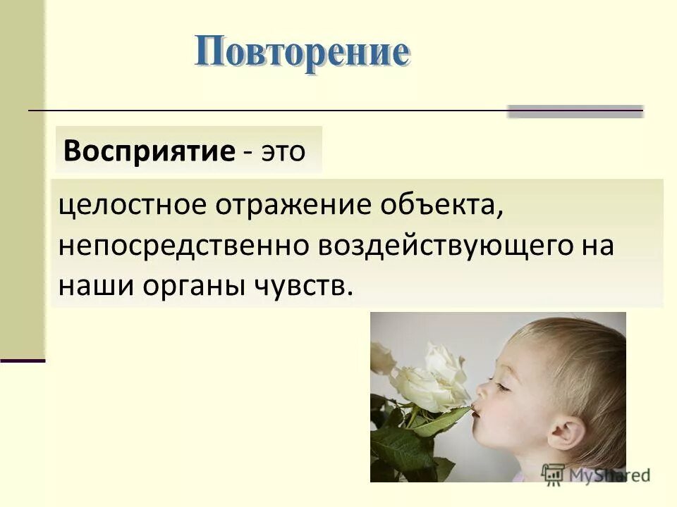 Отображение целостного образа непосредственно воздействующего. Отображение целостного образа непосредственно воздействующего