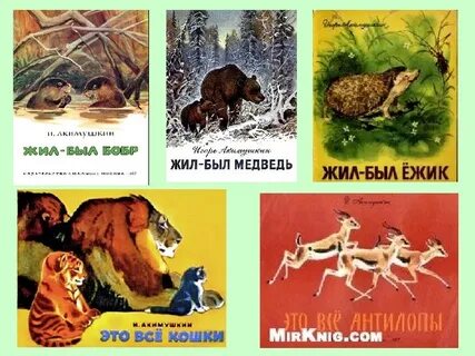 Акимушкина жил был ежик