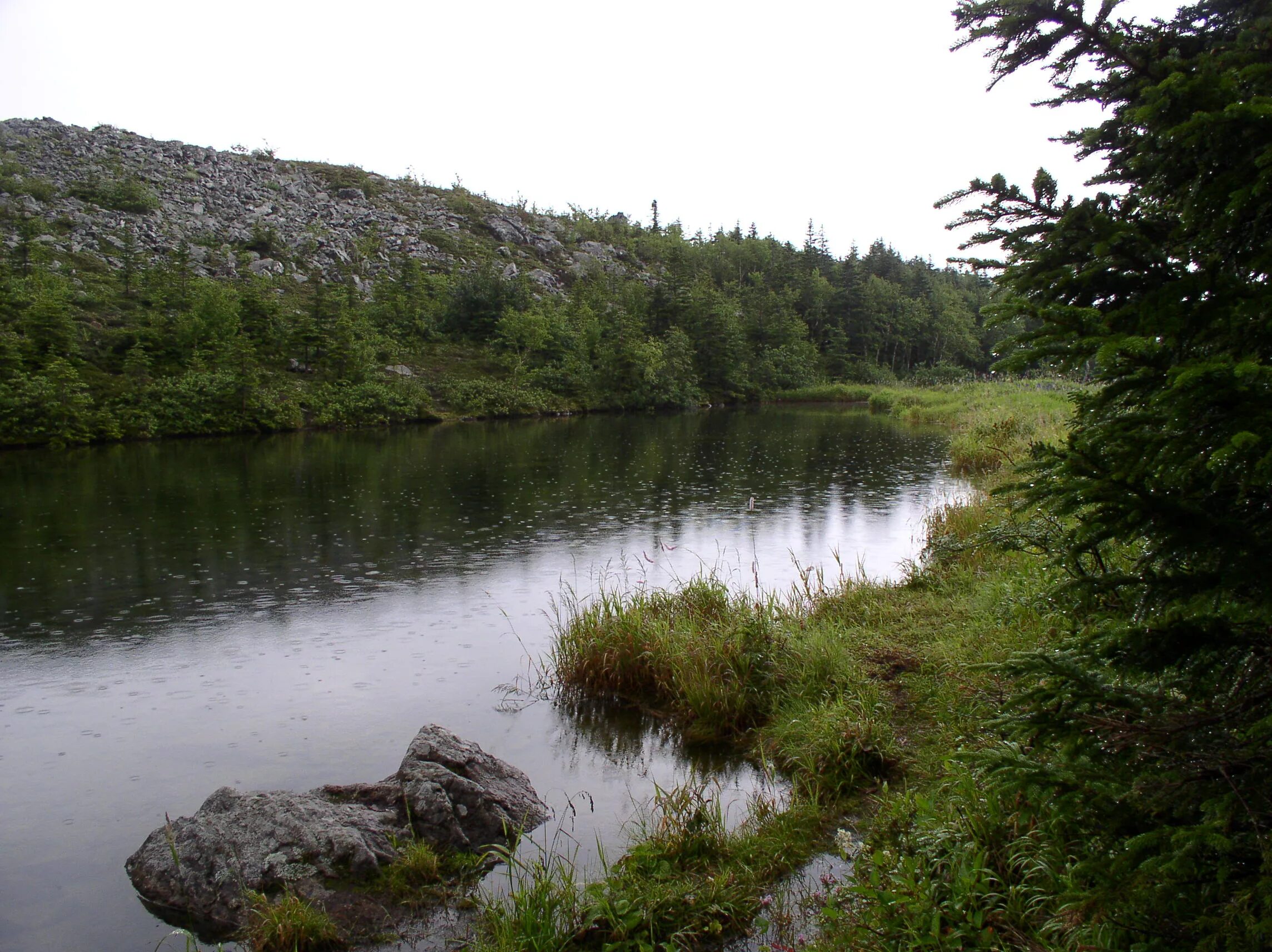 Ольховая 1669. Приморье гора ольховая. Ольховая. Озеро ольховое. Ольховая гора приморский.