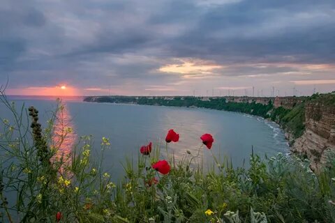 Донецкое море
