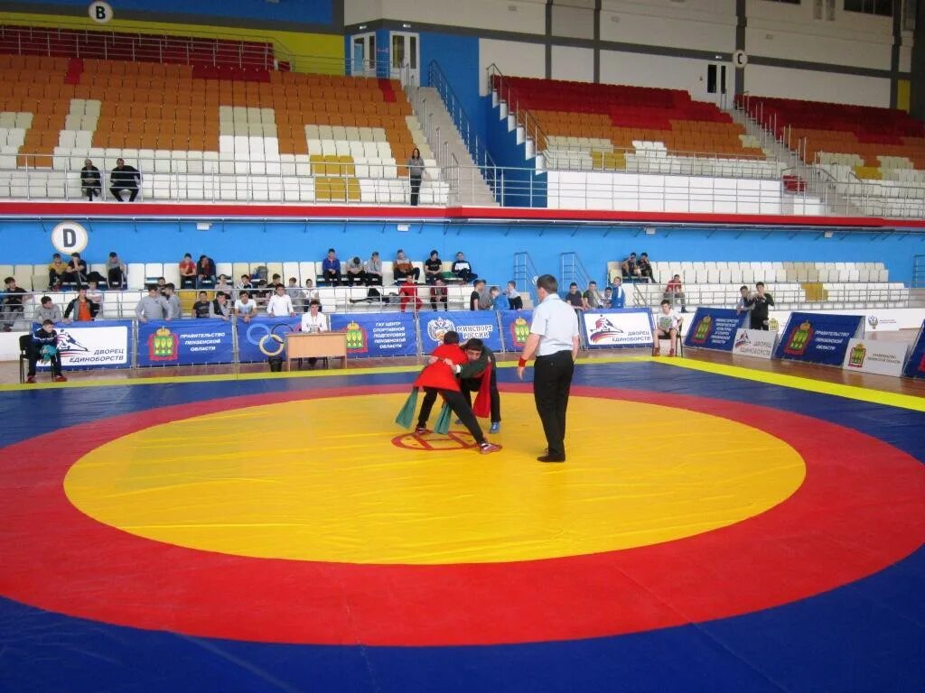 центр боевых искусств строитель. электрогорский клуб боевых искусств тора. футболки fight nights academy penza. боевые искусства пенза. дворец единоборств пенза.