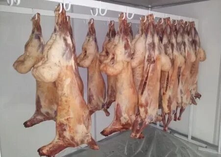 Барашки тушка