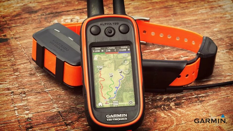 Навигатор Garmin Alpha 100. Гармин Альфа 100 с ошейником. GPS-ошейник ошейник Garmin t5. Навигатор с ошейником для собак Гармин Альфа 100. Купить навигатор для охоты с собакой гармин