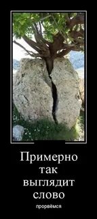 Роль слова казалось