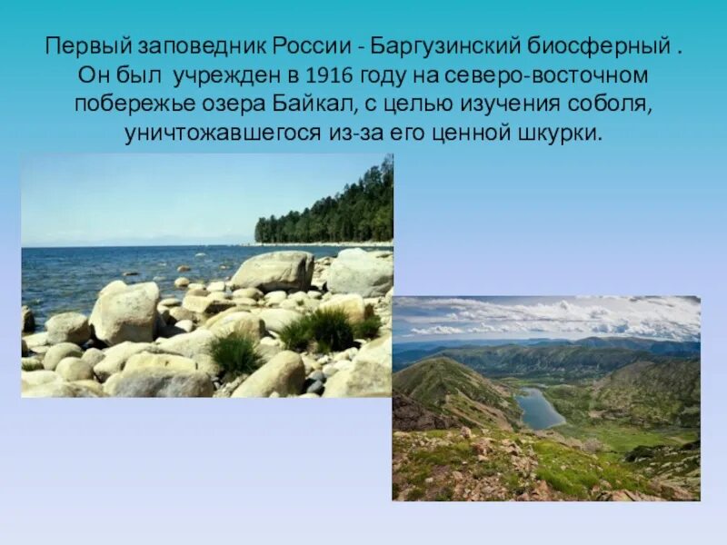 Заповедник созданный в 1916 году. Первый заповедник в России. Самый первый заповедник в России. Заповедник в России в 1916 году. Первый заповедник в России Баргузинский был создан.