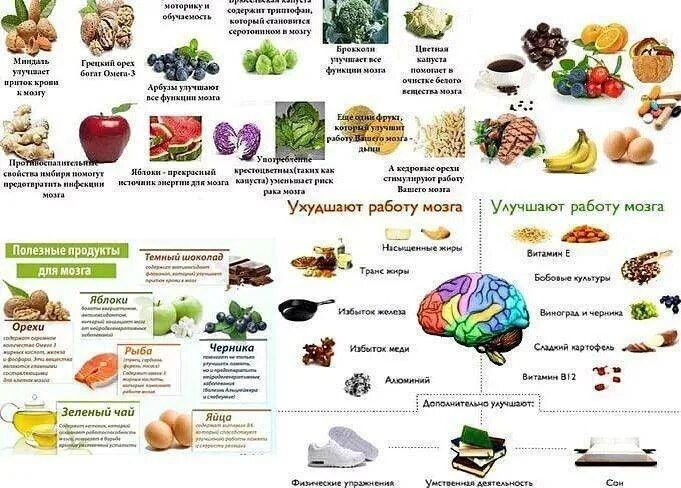 Какие продукты улучшают кровообращение. Еда для улучшения памяти. Полезные продукты для могза. Полезные овощи для мозга. Продукты питания для головного мозга.