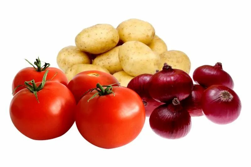 Tomato and onion and. Tomato Potato. Tomatoes Potatoes.