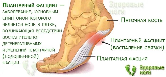 Дергает пятки