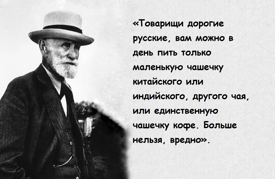 Павлов о русских. Павлов о русском человеке. Павлов о русском уме. Академик павлов россия