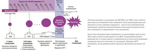 Стимуляция летрозолом отзывы форум