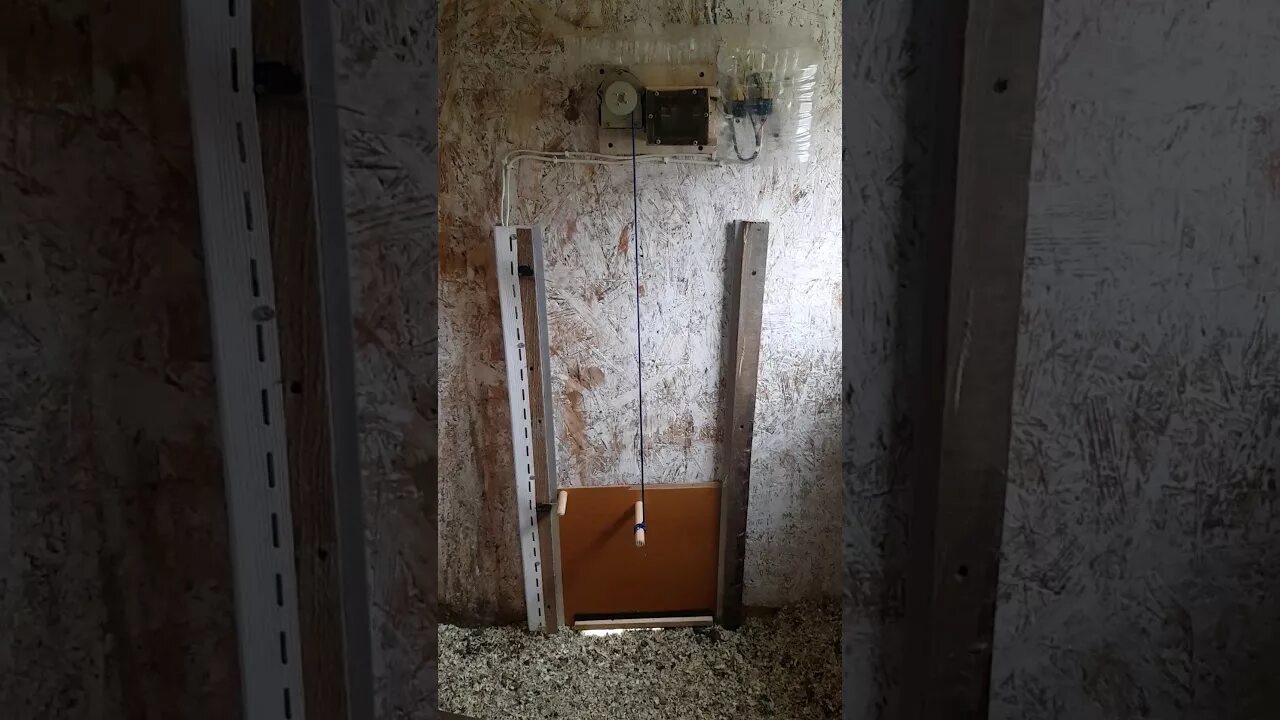 Дверь в курятник своими. Дверь в курятник своими. Входные двери для курятника. Дверка в курятник. Дверь в курятник своими руками.