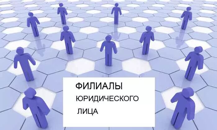 Дом 2 юридическое лицо. Филиал юридического лица это. Филиалы и представительства юр лиц. Филиал. Представительство юридического лица.