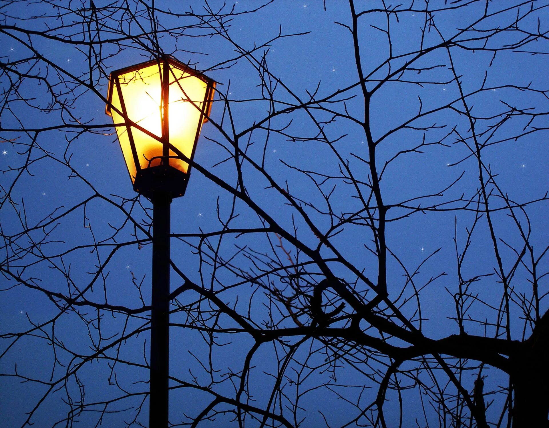Ночные фонари купить. Фонарь. Ночные фонари. Фонарь на улице. Красивый уличный фонарь.