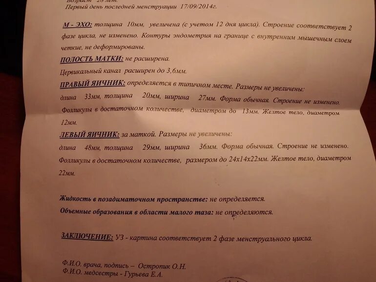 Желтое тело что это значит простыми словами. Желтое тело на 12 день цикла. Желтое тело на 20 день цикла. 28 День цикла желтое тело 20 мм. Желтое тело 27 мм после овуляции.