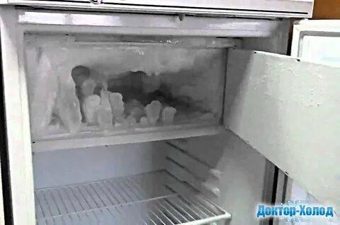 Можно хранить шубу в холодильнике