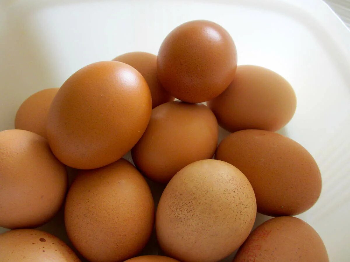 Десять яиц в день. Десяток яиц. Десять яиц. 10 Яиц коричневые. Oeufs.