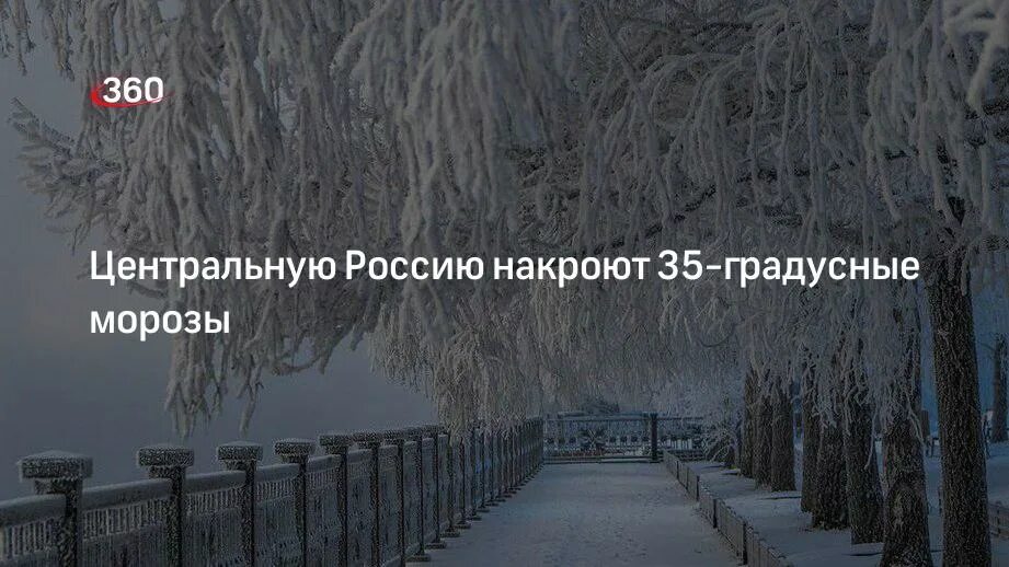 Все живое накрыло морозом. Аномальные Морозы накроют некоторые регионы России в ближайшие дни.